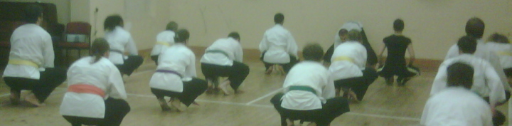 Goyararu Martial Arts