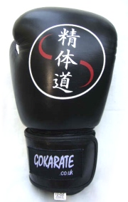 go-karate boxing gloves