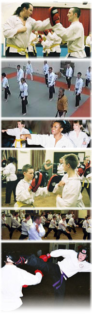 martial arts birmingham