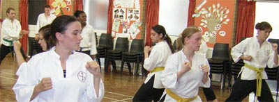 Goyararu martial Arts - Birmingham Quinton Club