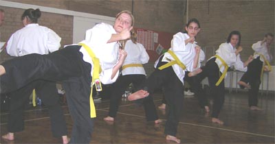 Goyararu martial Arts - Birmingham Quinton Club