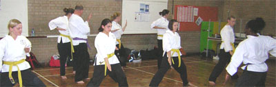 Goyararu martial Arts - Birmingham Quinton Club