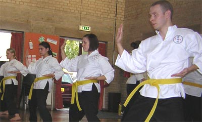Goyararu martial Arts - Birmingham Quinton Club