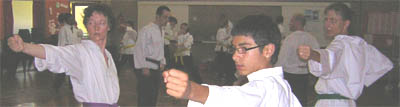Goyararu martial Arts - Birmingham Quinton Club