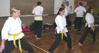 Goyararu martial Arts - Birmingham Quinton Club