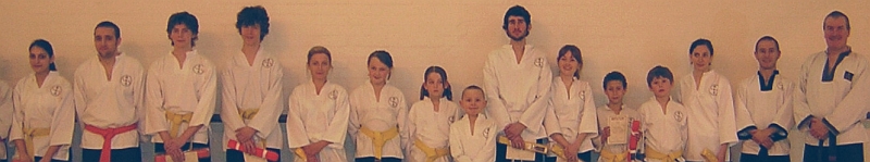 goyararu martial arts grading march 08