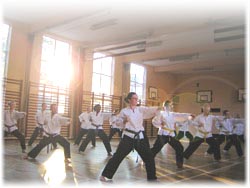 Martial Arts Training at Moseley