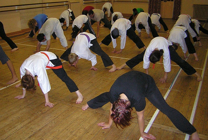 Goyararu Martial Arts