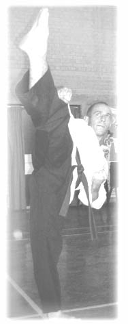 Goyararu martial Arts - Birmingham Quinton Club