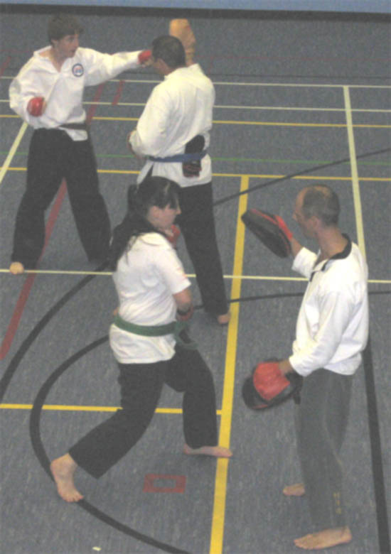 Goyararu Martial Arts