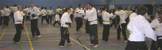 Goyararu Martial Arts