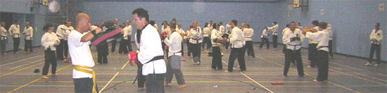Goyararu Martial Arts