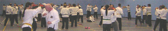 Goyararu Martial Arts