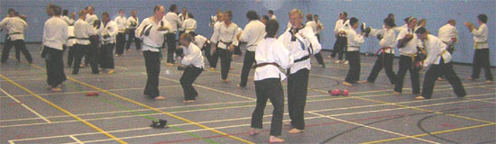 Goyararu Martial Arts