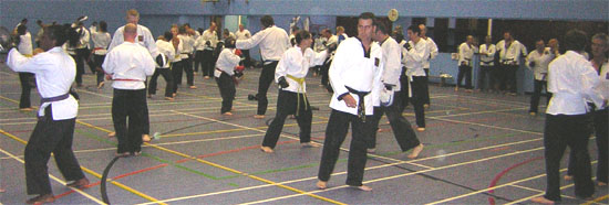 Goyararu Martial Arts