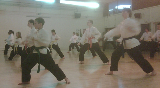 Goyararu Martial Arts