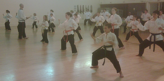 Goyararu Martial Arts