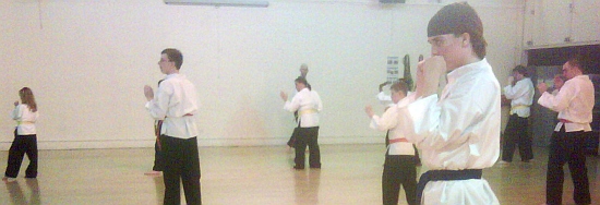 Goyararu Martial Arts