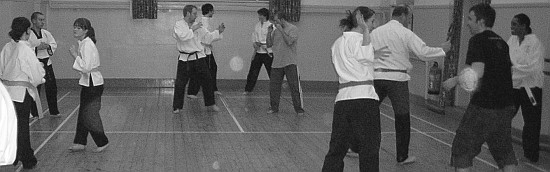 Goyararu Martial Arts