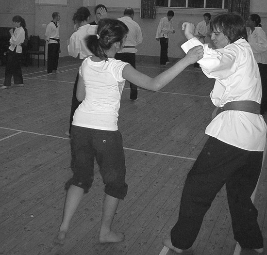 Goyararu Martial Arts