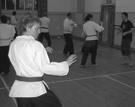 Goyararu Martial Arts