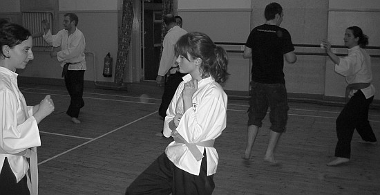 Goyararu Martial Arts